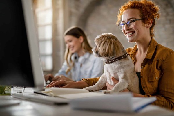 How to Develop Pet-friendly Buildings That Attract Tenants and Buyers?